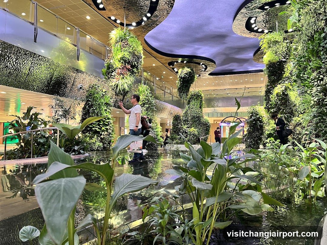 Indoor Green Space with Water Feature