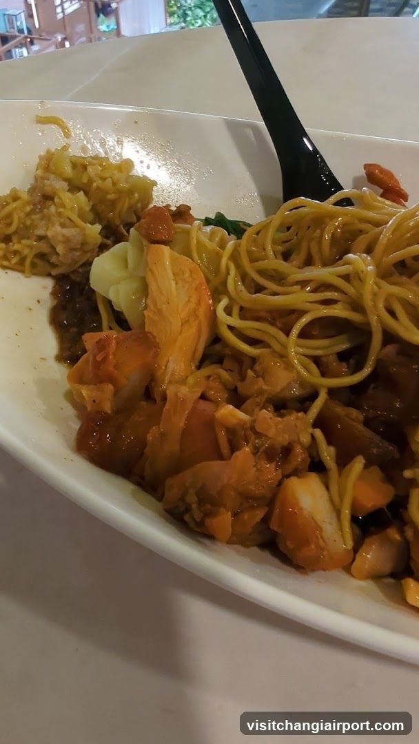 Noodle Dish with Chicken and Vegetables