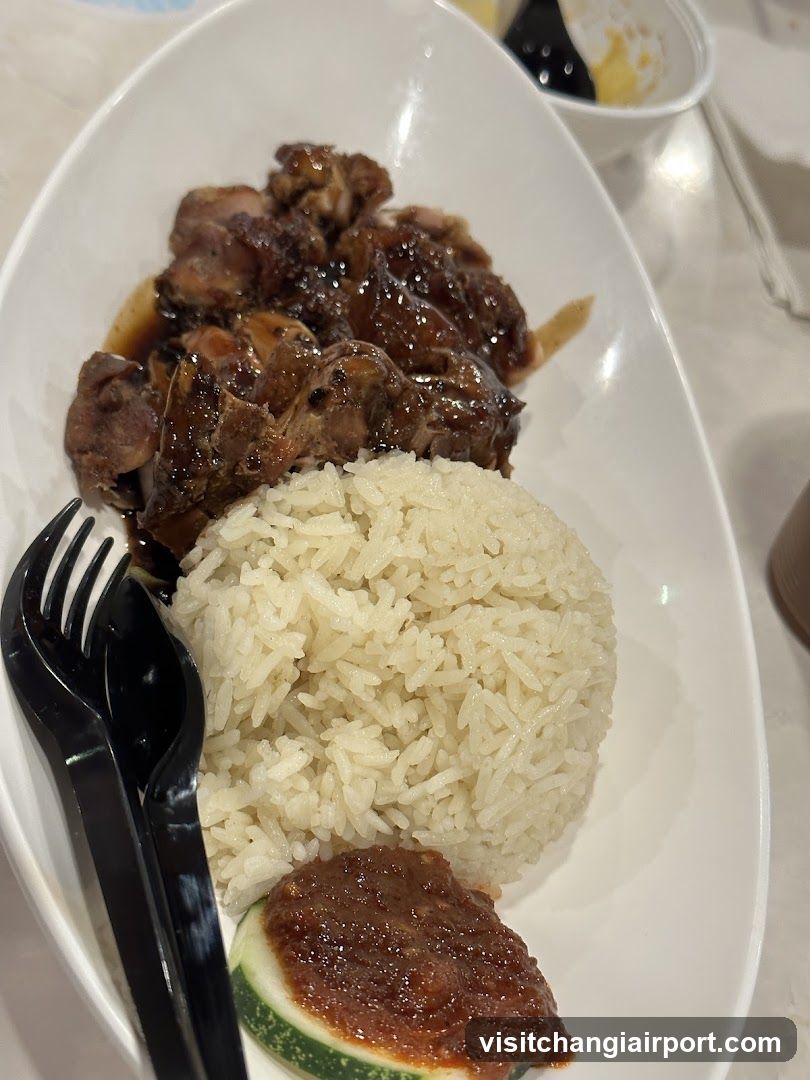 Braised Meat with Rice
