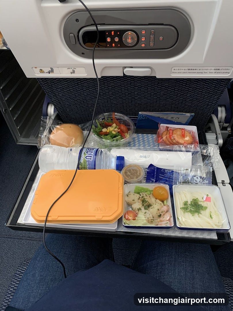 All Nippon Airways
