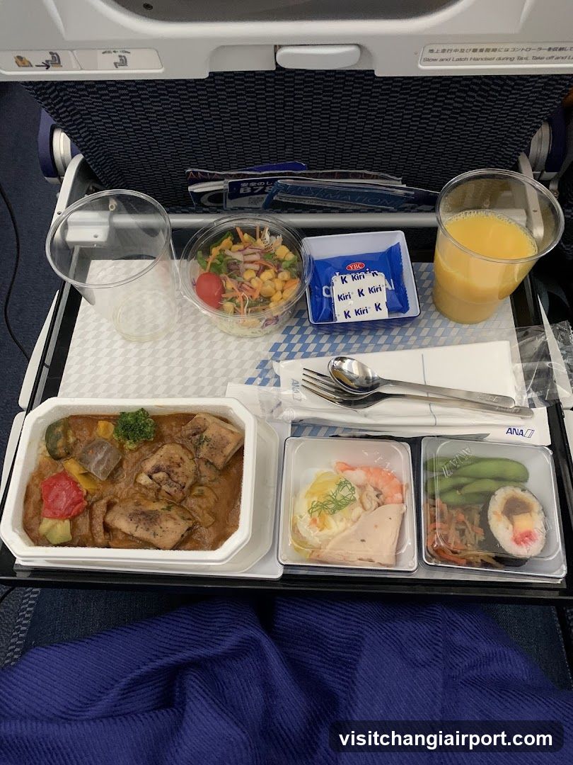 All Nippon Airways