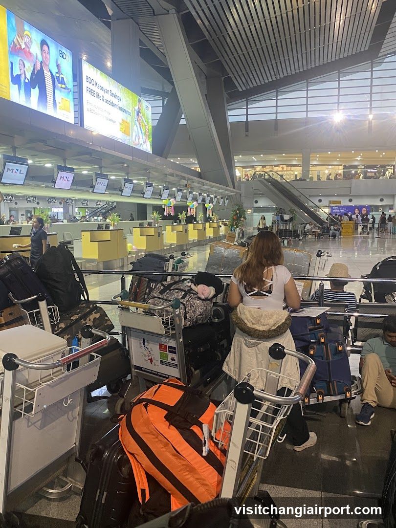 All Nippon Airways