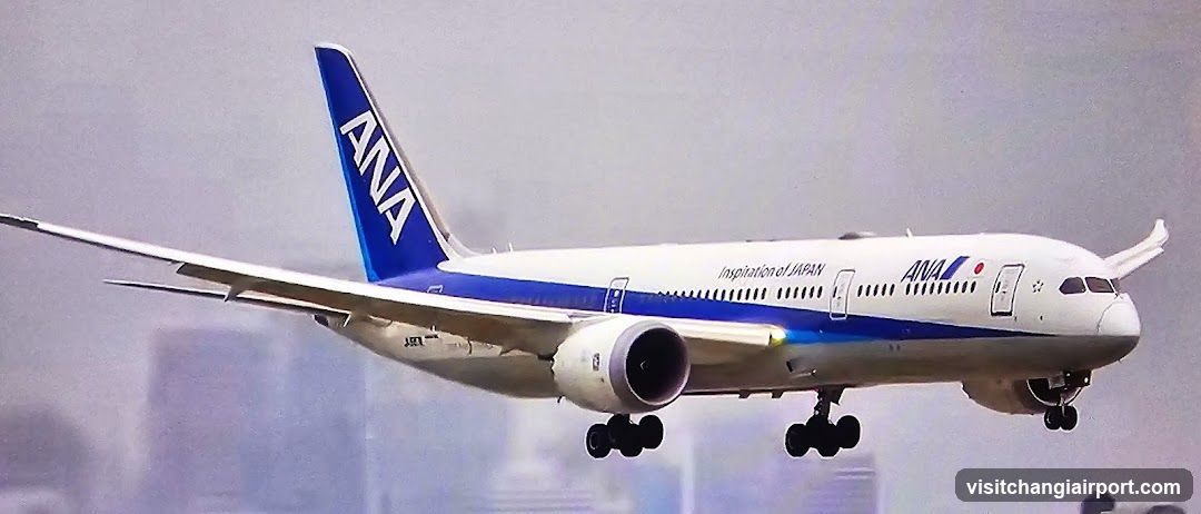 ANA Boeing 787 in flight