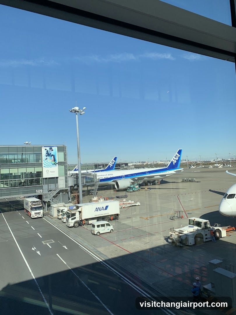 Airport Tarmac View