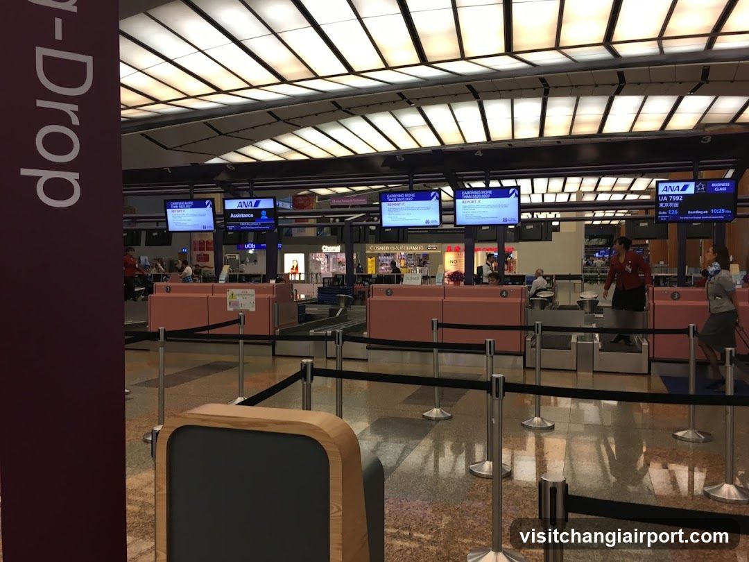 Airport Check-in Area