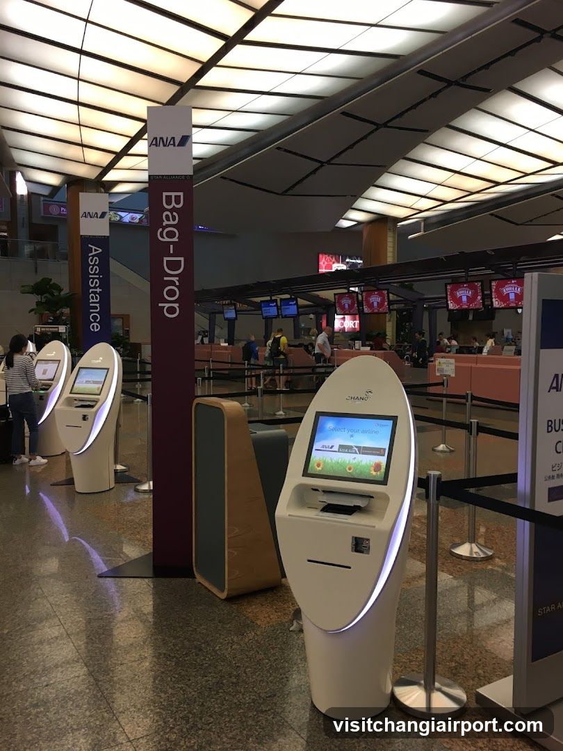 Airport Bag Drop Area