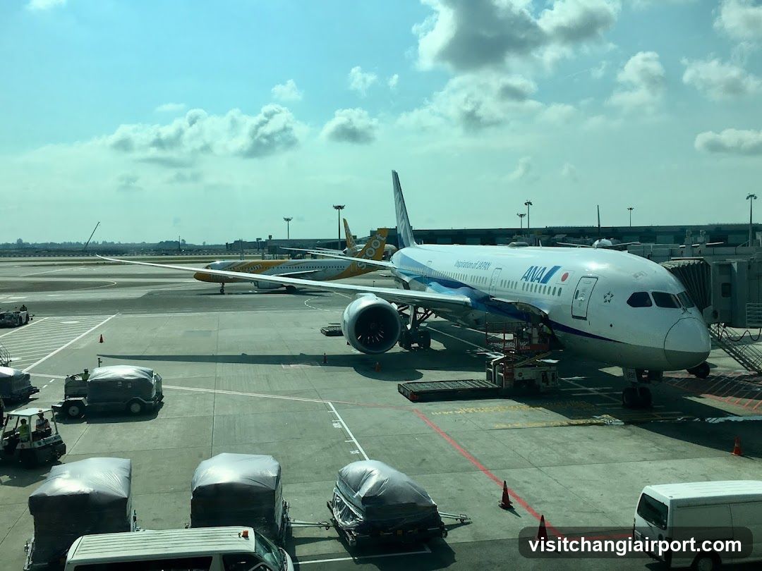 Airport Tarmac with Aircraft and Ground Support Vehicles