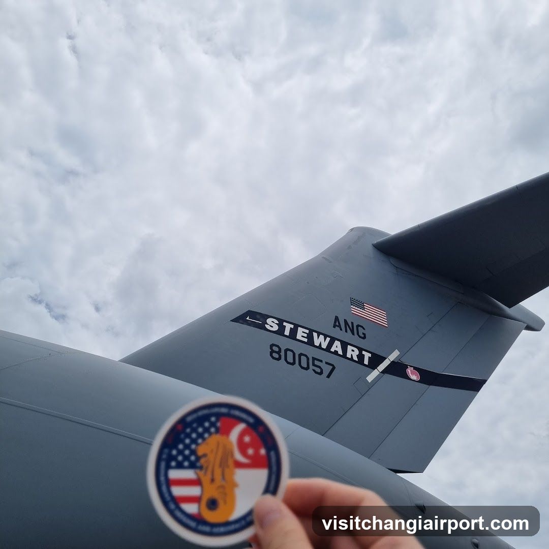 Military Aircraft Tail with Sticker