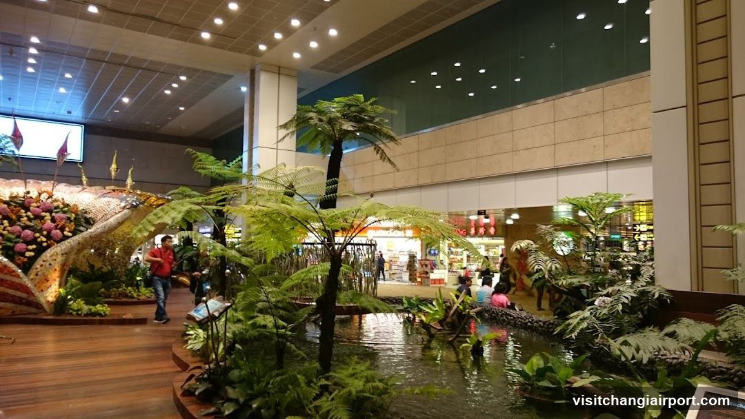 Indoor Garden Display