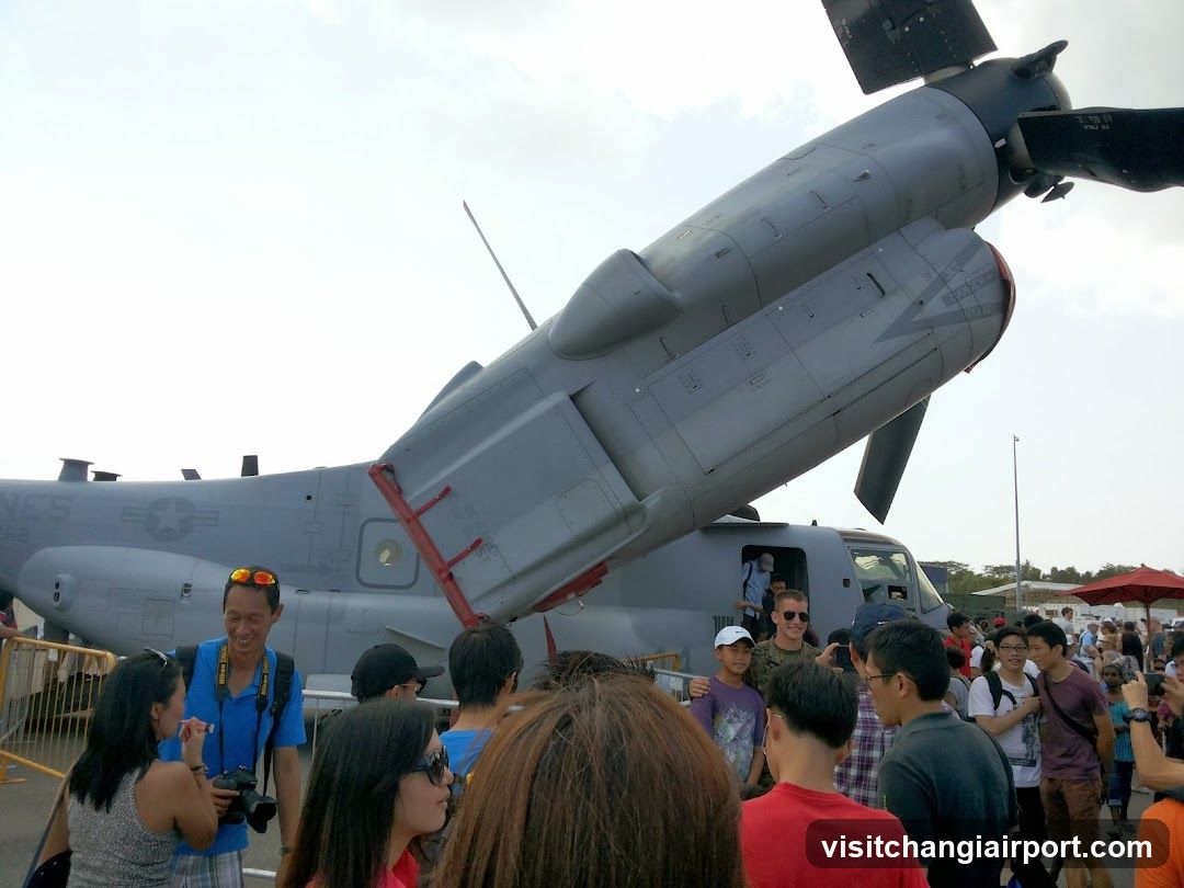 Crowd at Air Show