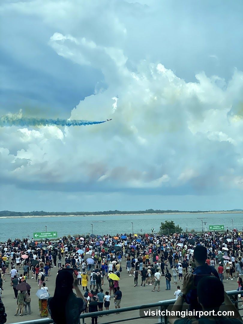 Aerial Show Spectators