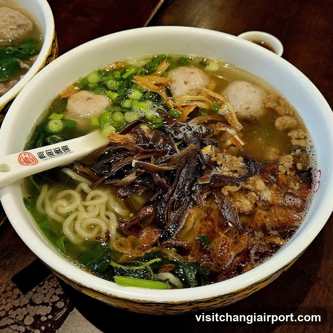 Bowl of Noodle Soup with Meatballs and Toppings