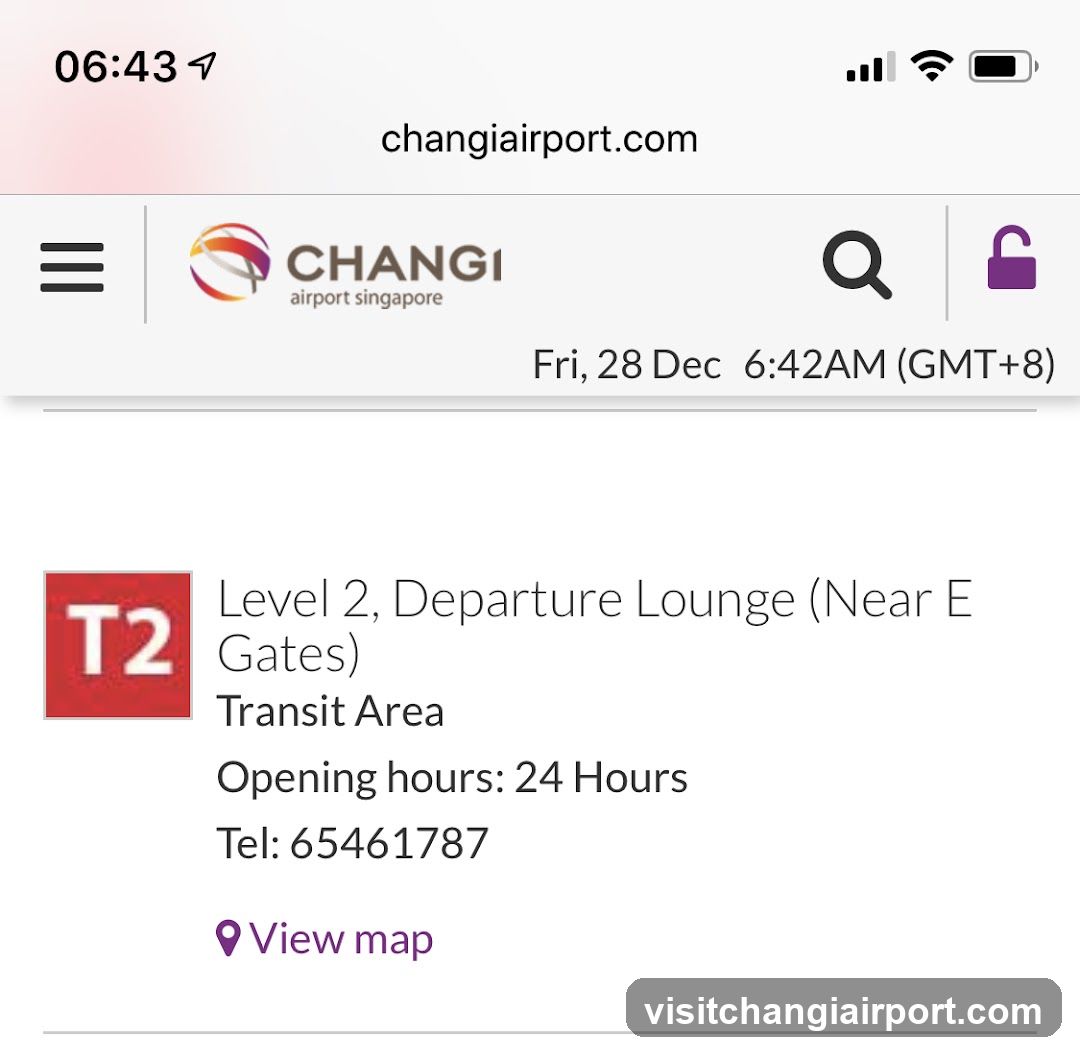 Changi Airport T2 Departure Lounge Info