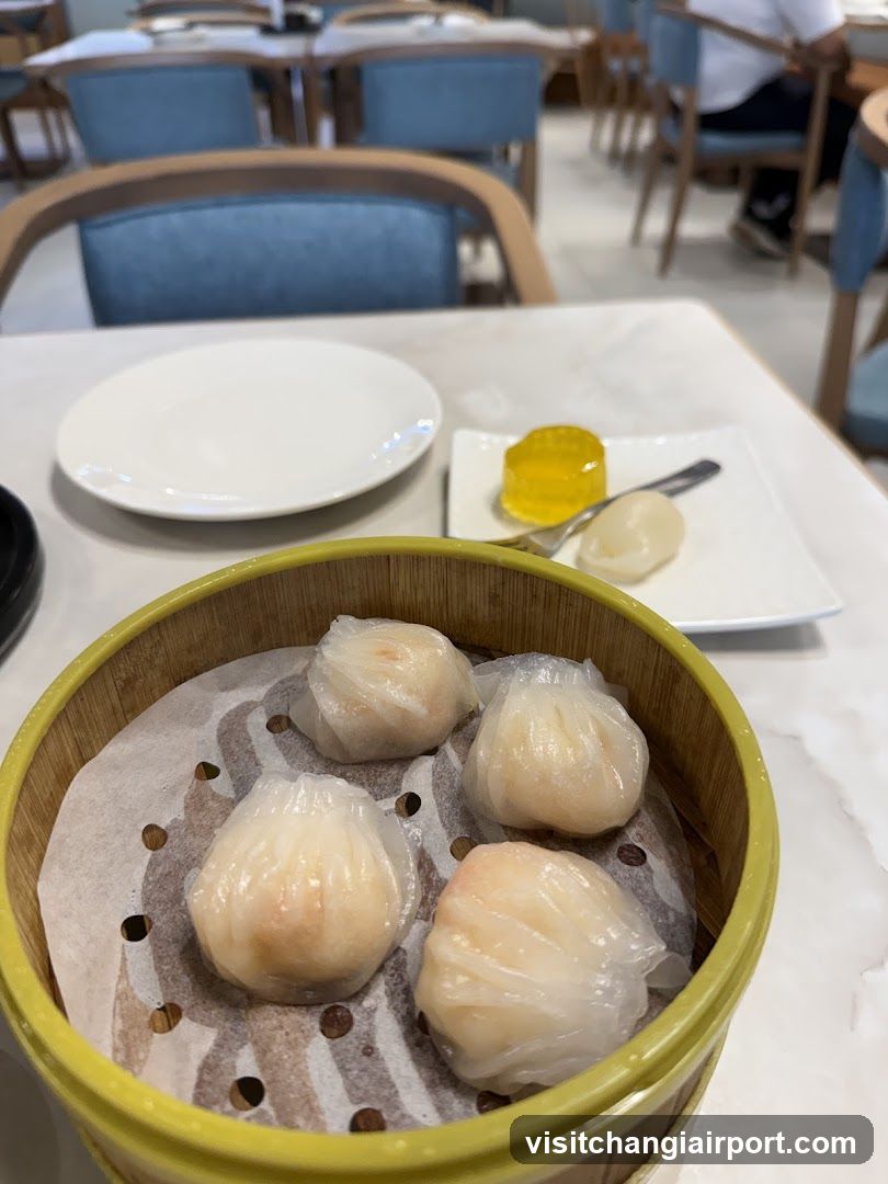 Dumplings in Steamer