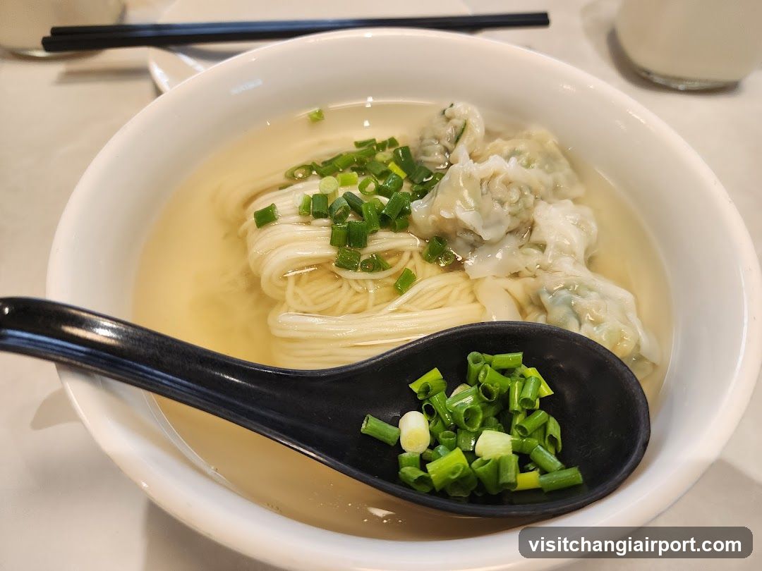 Wonton Noodle Soup with Green Onions