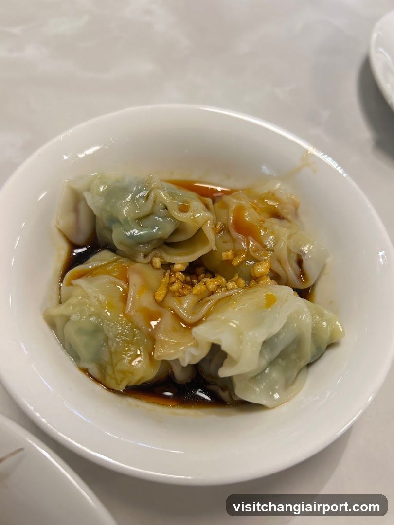 Dumplings with Sauce and Garlic