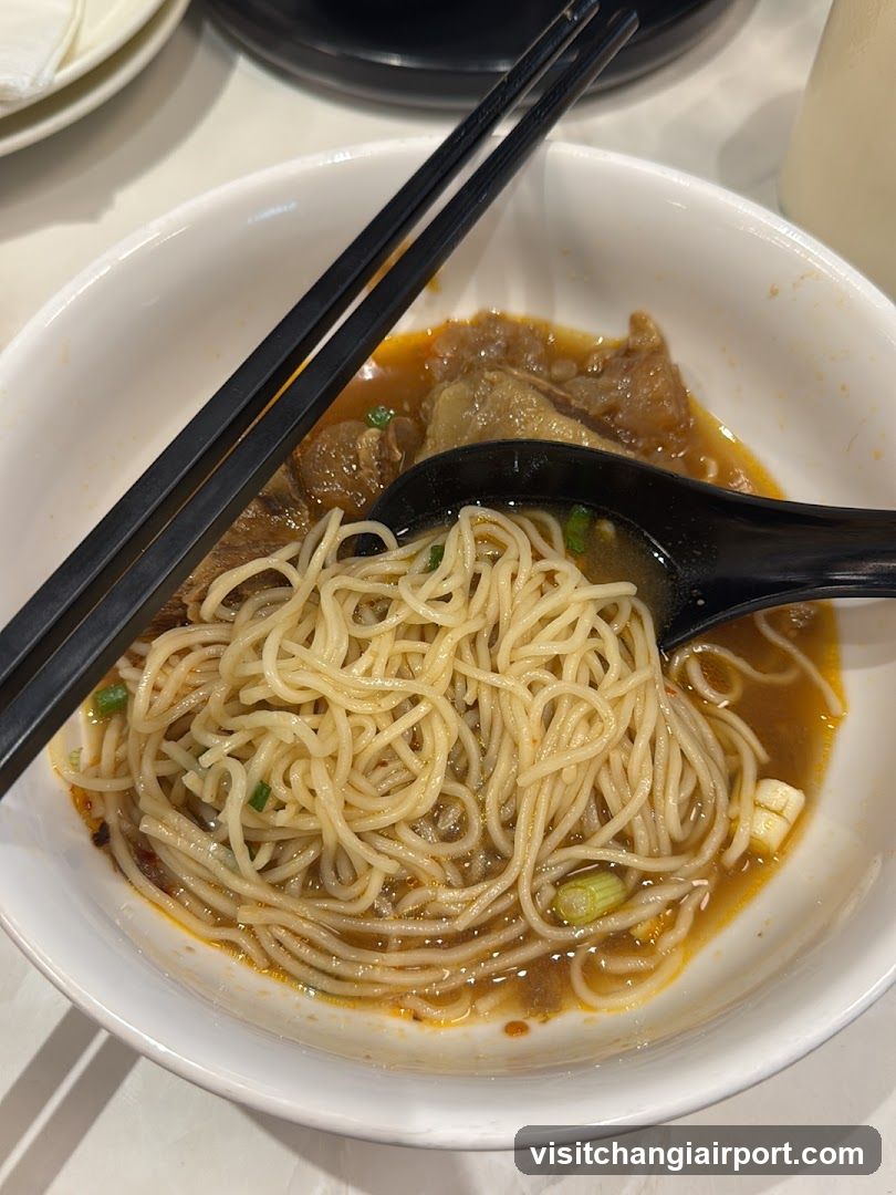 Bowl of Noodles with Meat and Broth