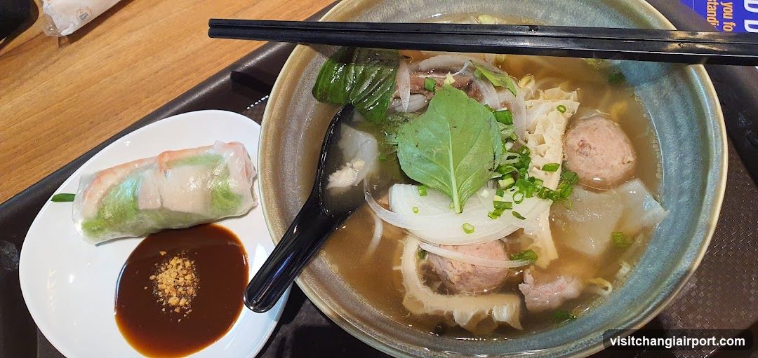 Vietnamese Pho and Spring Rolls