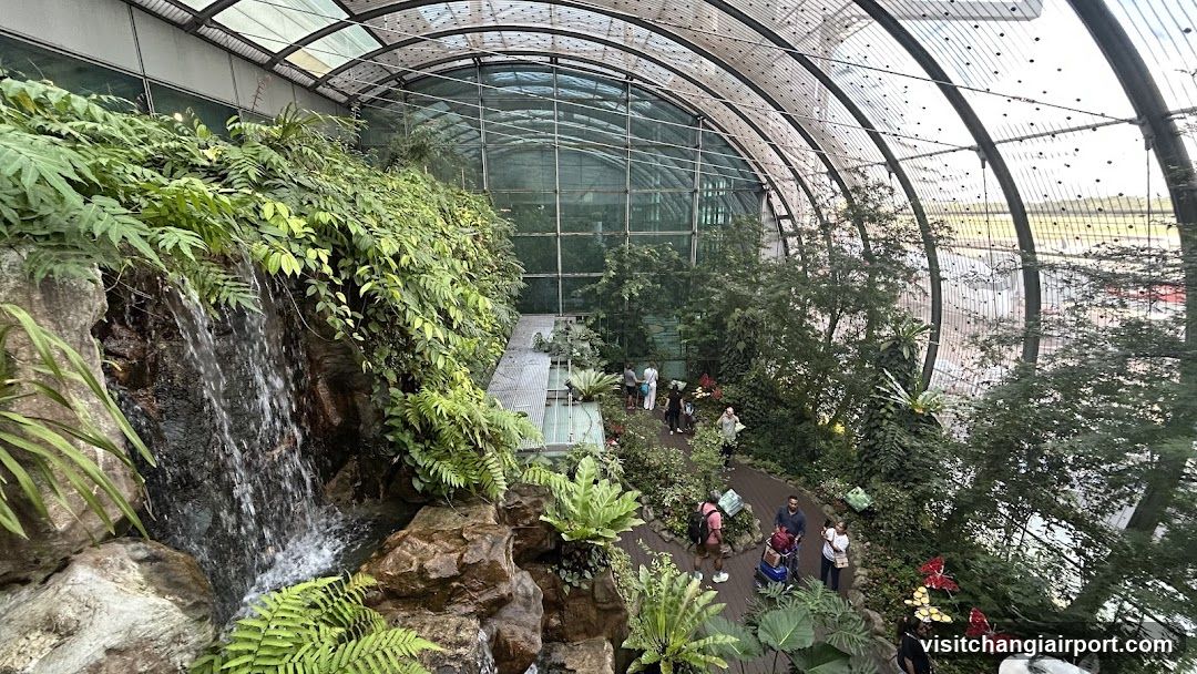 Indoor Tropical Garden with Waterfall