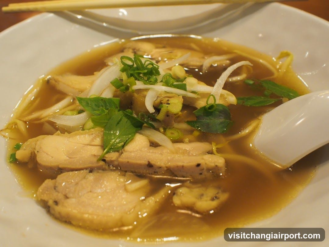 Chicken Soup with Garnish