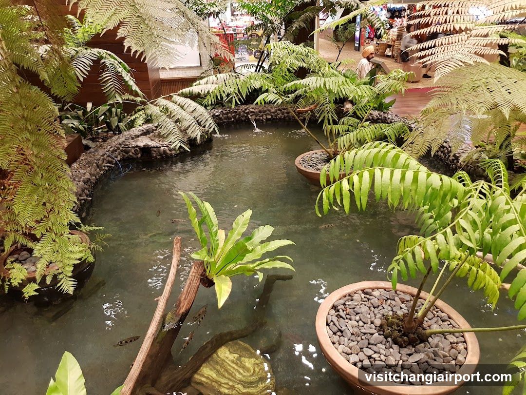 Indoor Garden Pond Scene