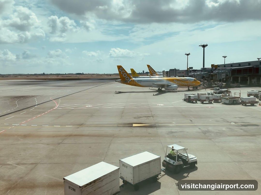 Airport Tarmac View