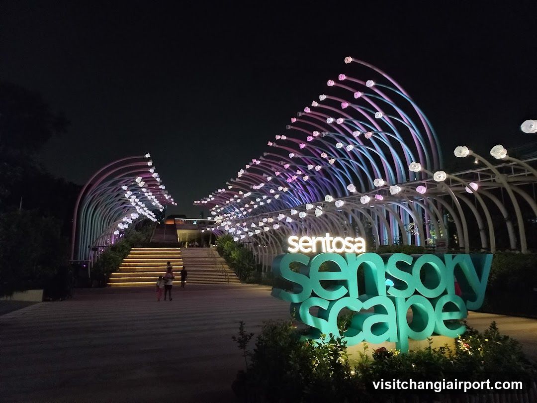 Sensory Scape Night View