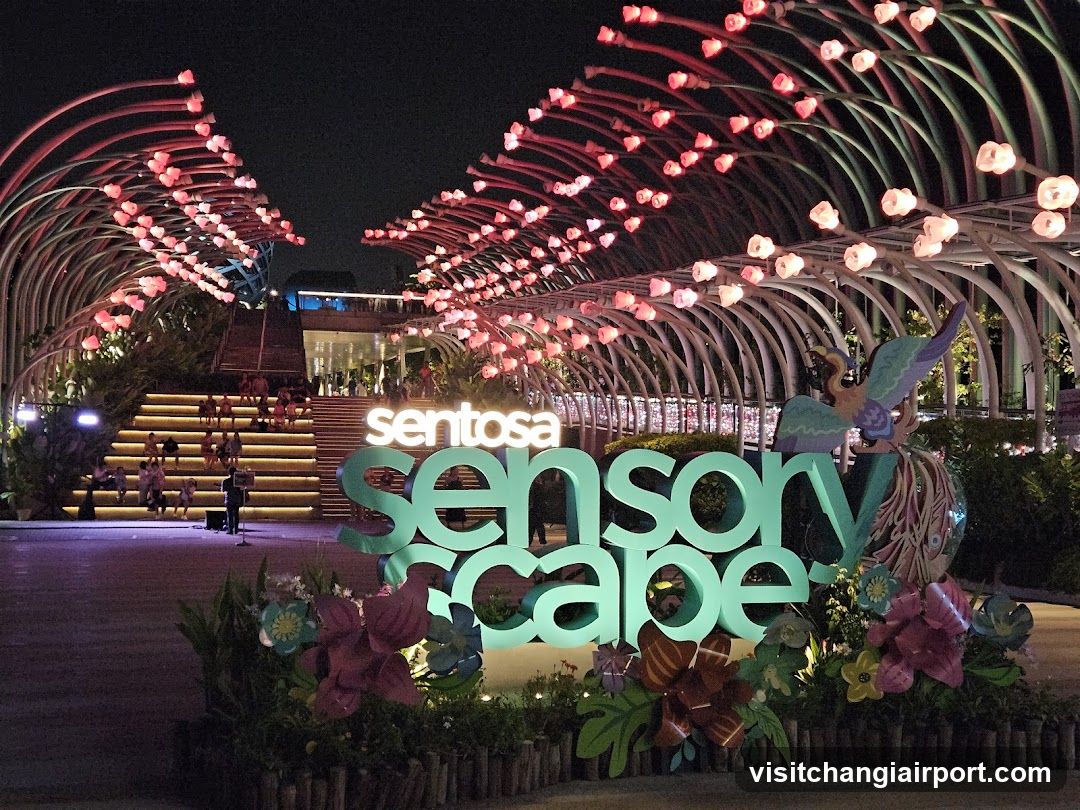 Sentosa Sensoryscape Night View