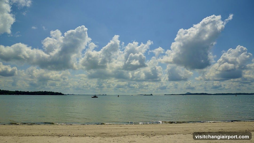 Beach Scene with Clouds