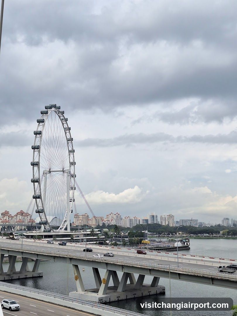 Singapore Flyer and Marina Bay Bridge