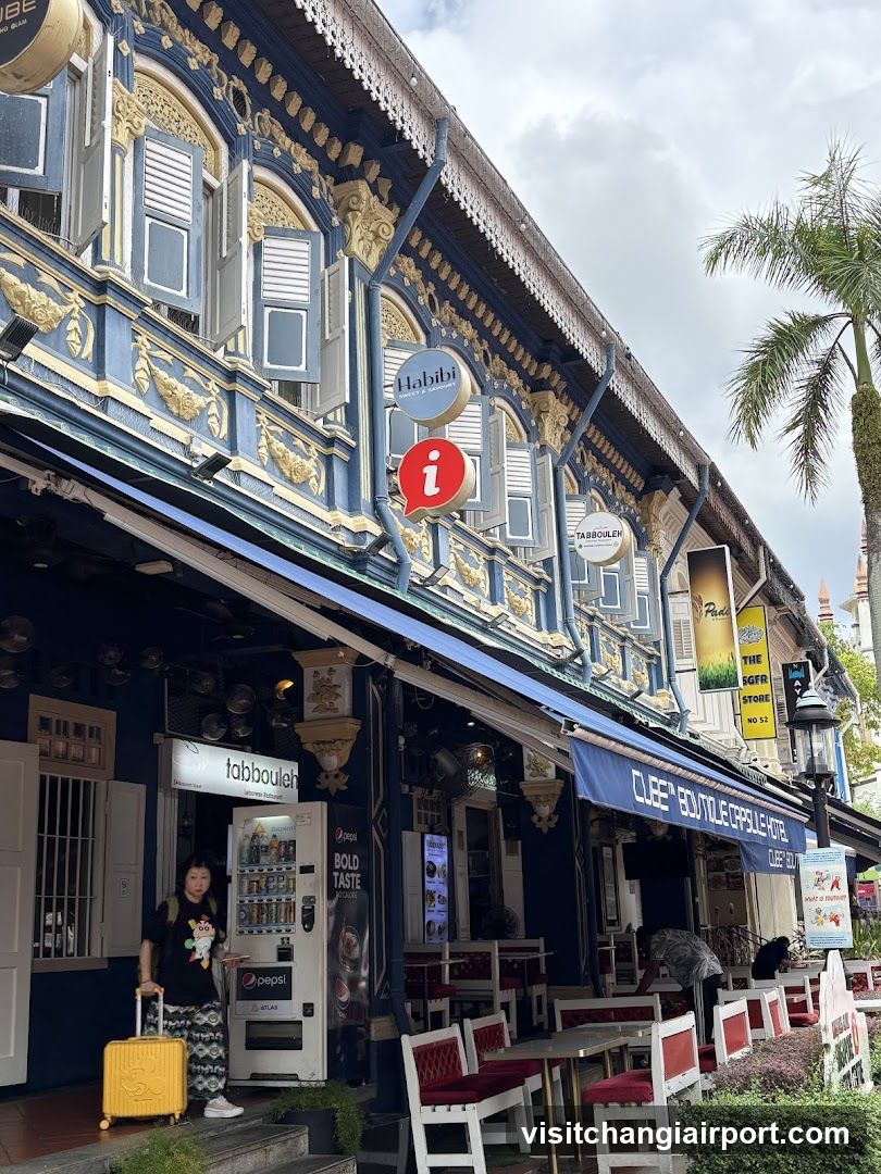 Free Singapore Tour