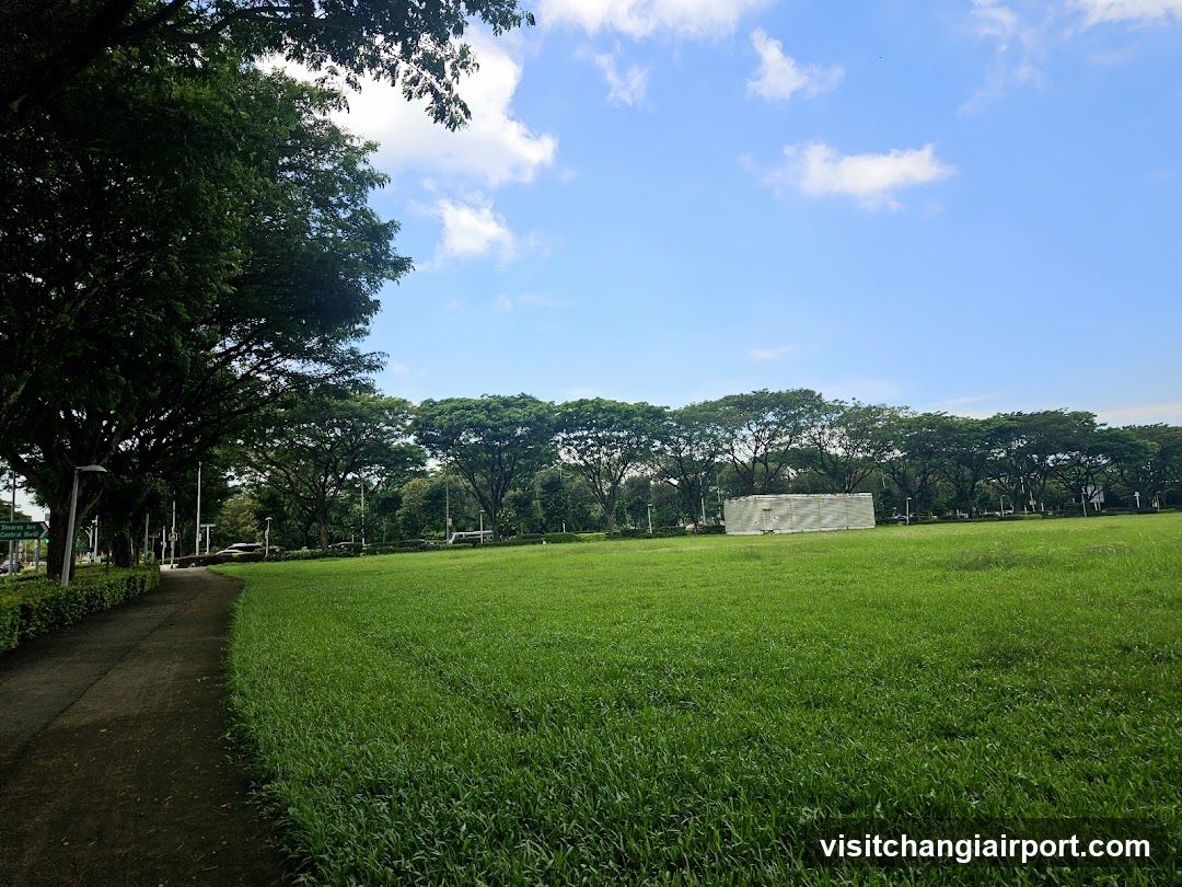 Grassy Field with Trees and Sky