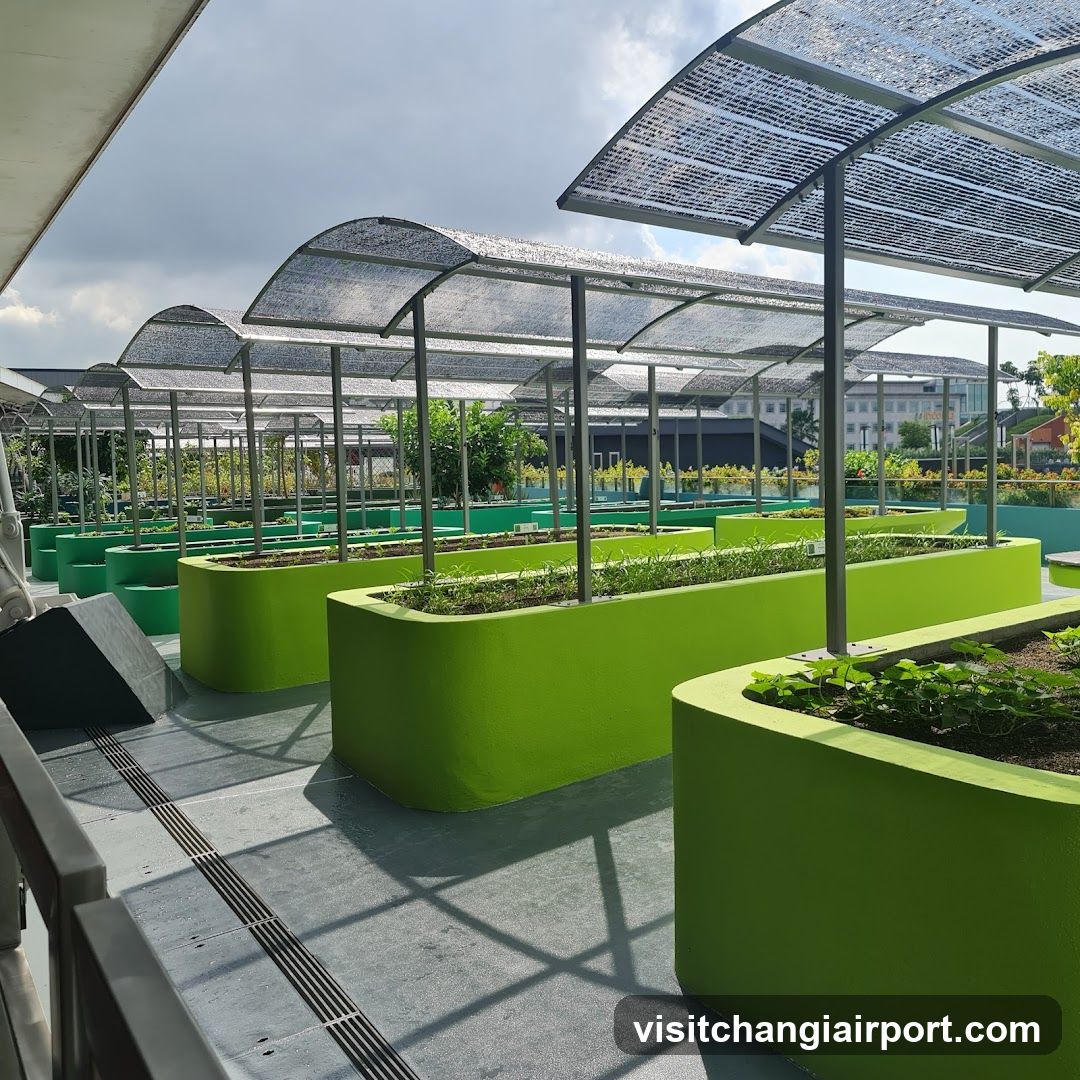 Roof Garden with Green Planters