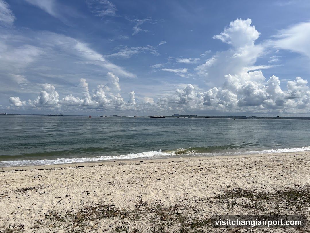 Beach Scene with Clouds and Ships