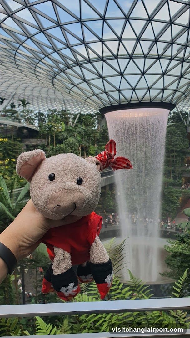 Plush Pig with Waterfall Background