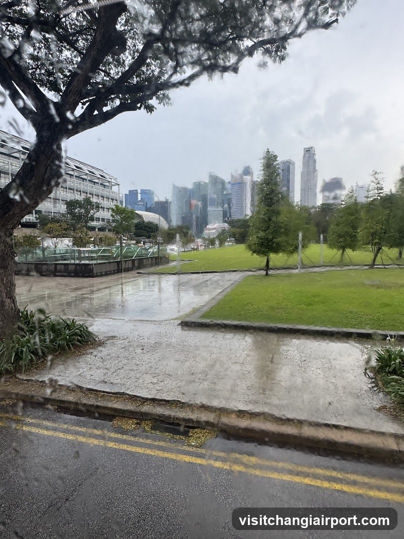 Rainy City View from Park