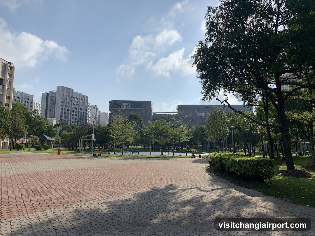 Urban Park with High-Rise Buildings