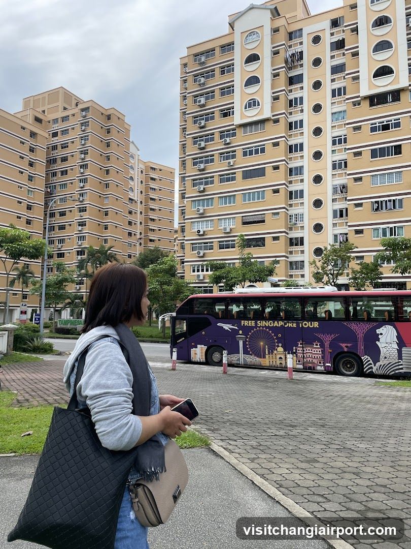 Woman with bag near tour bus in residential area