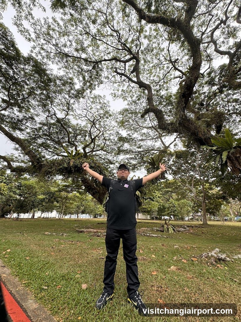 Man standing under a large tree with arms raised
