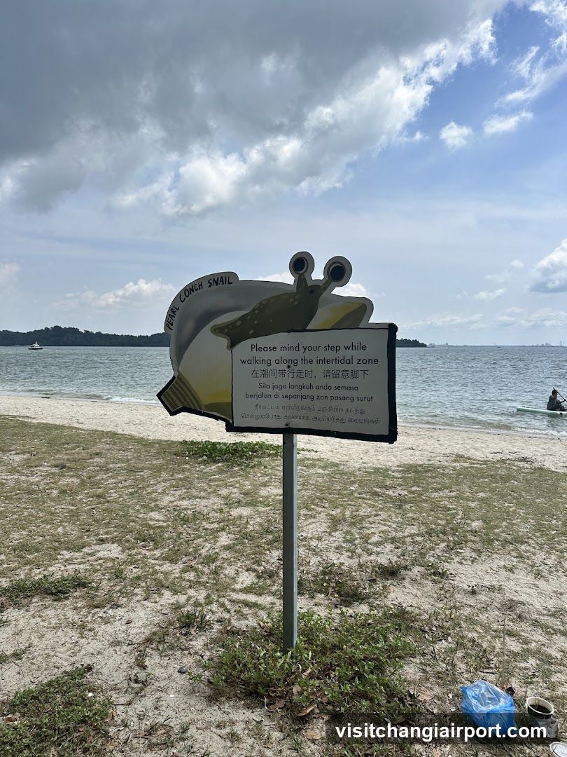Beach Sign with Snail Illustration