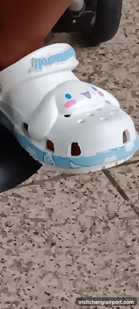 Cinnamoron Croc Shoe