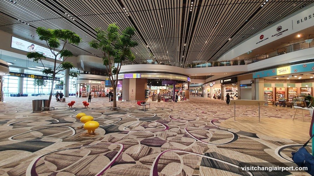 Airport Terminal Interior