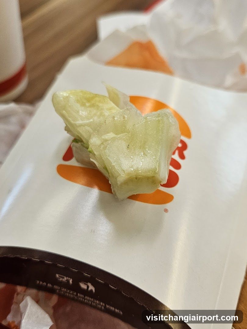 Burger King Food Wrapper with Lettuce