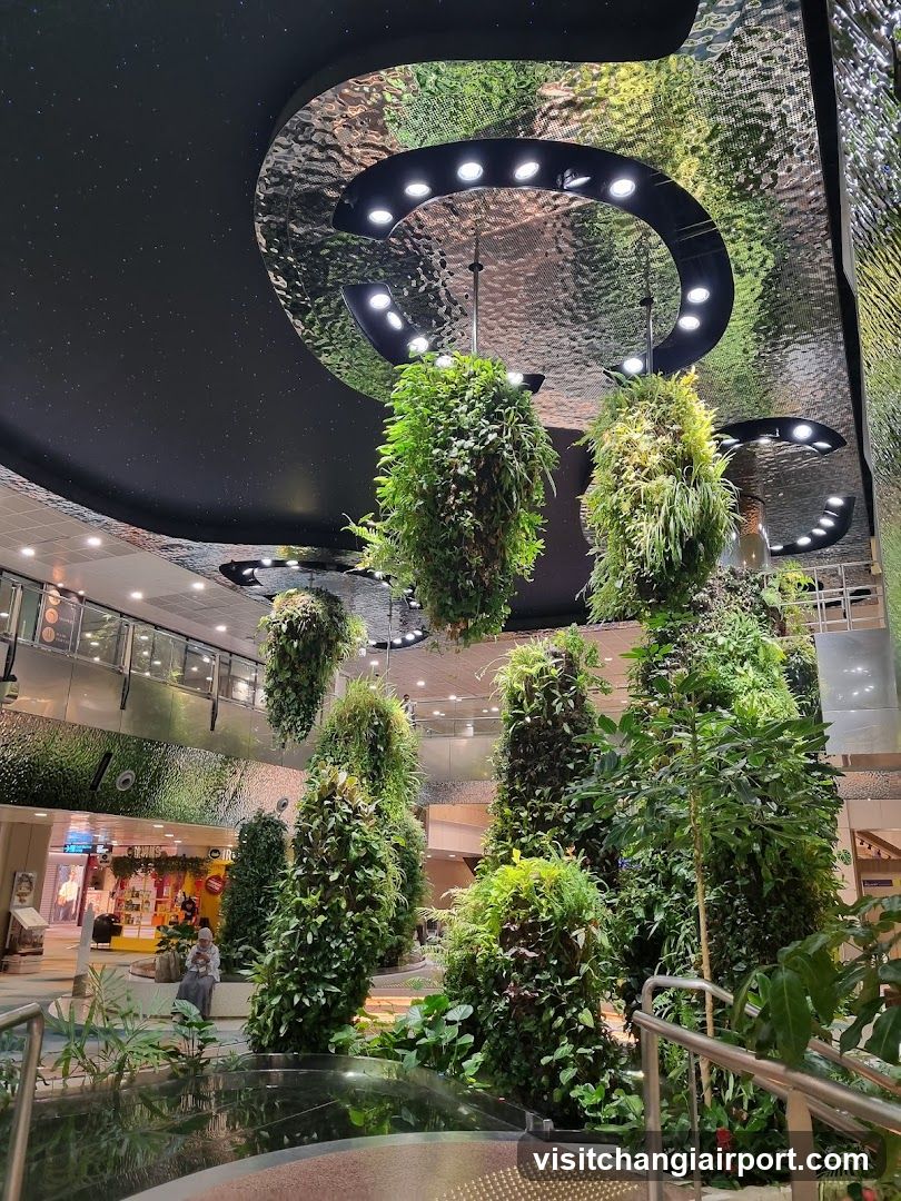 Indoor Vertical Garden with Hanging Greenery