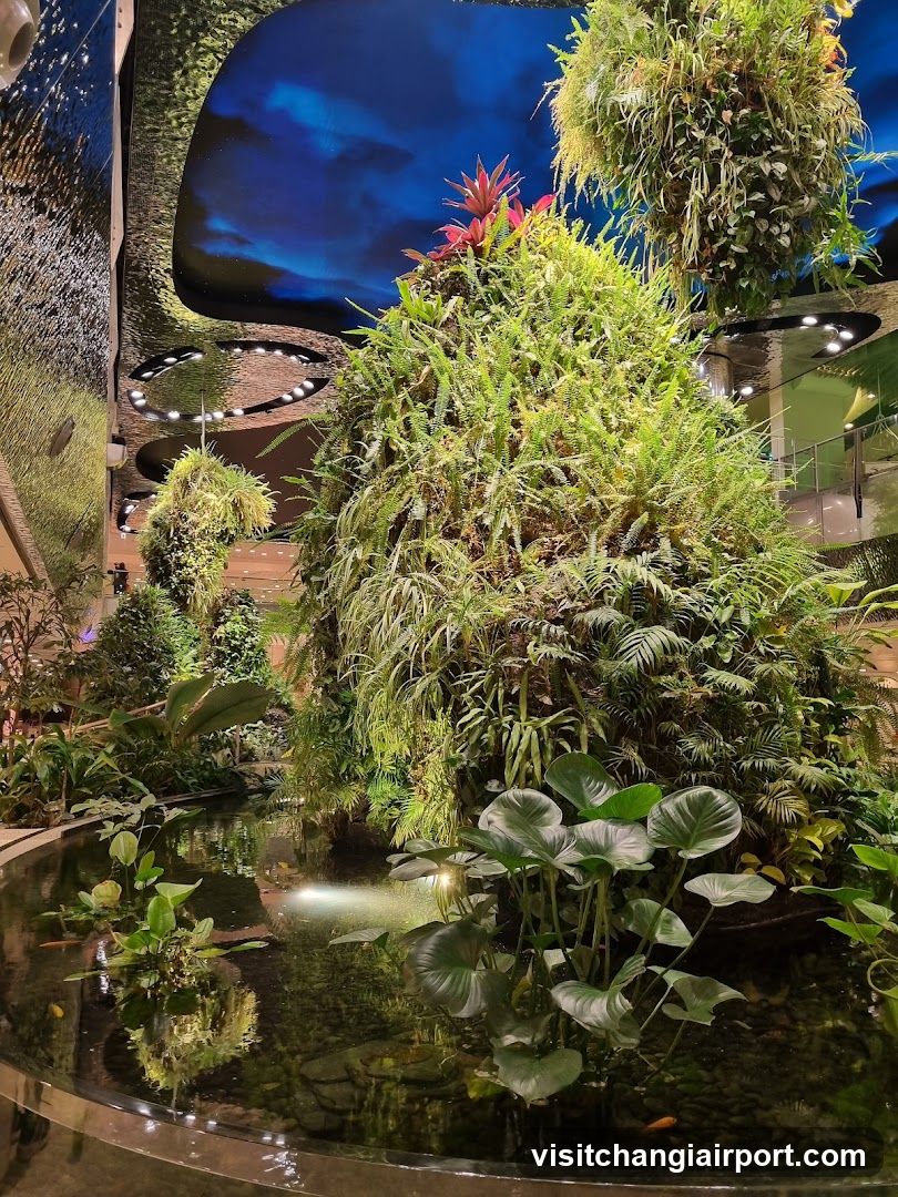 Indoor Tropical Garden Scene