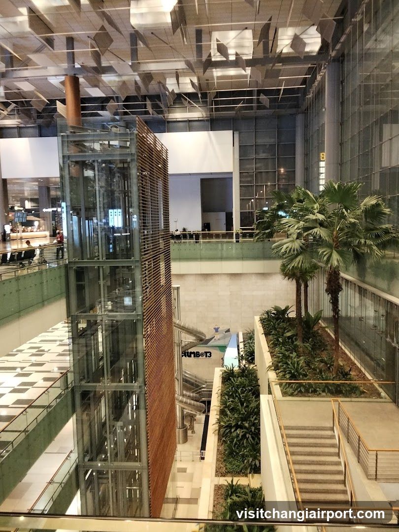 Interior atrium with glass elevator and palm trees