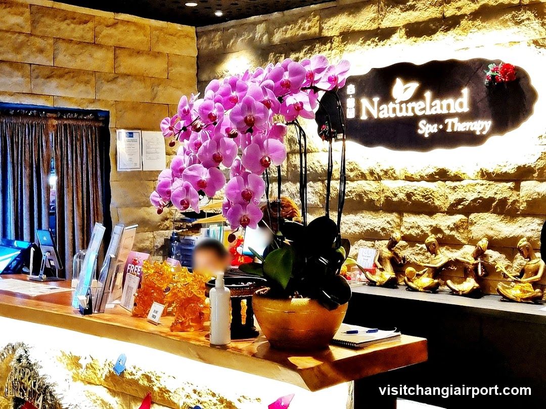 Natureland Spa Therapy Interior