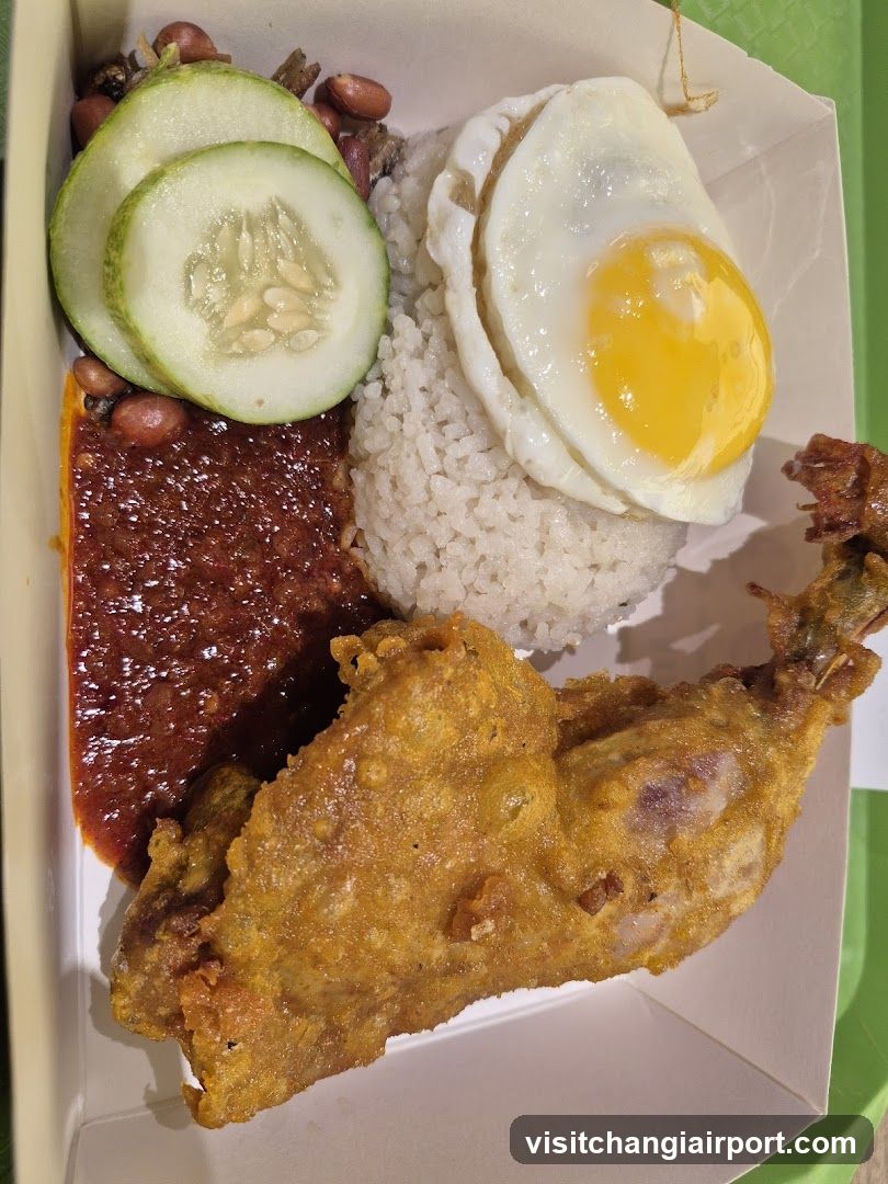 Nasi Lemak Box Meal