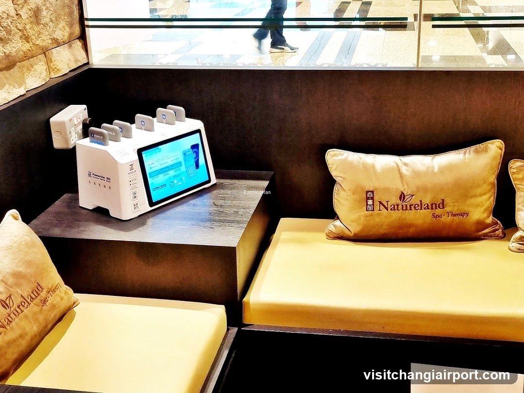 Natureland Spa Therapy Interior