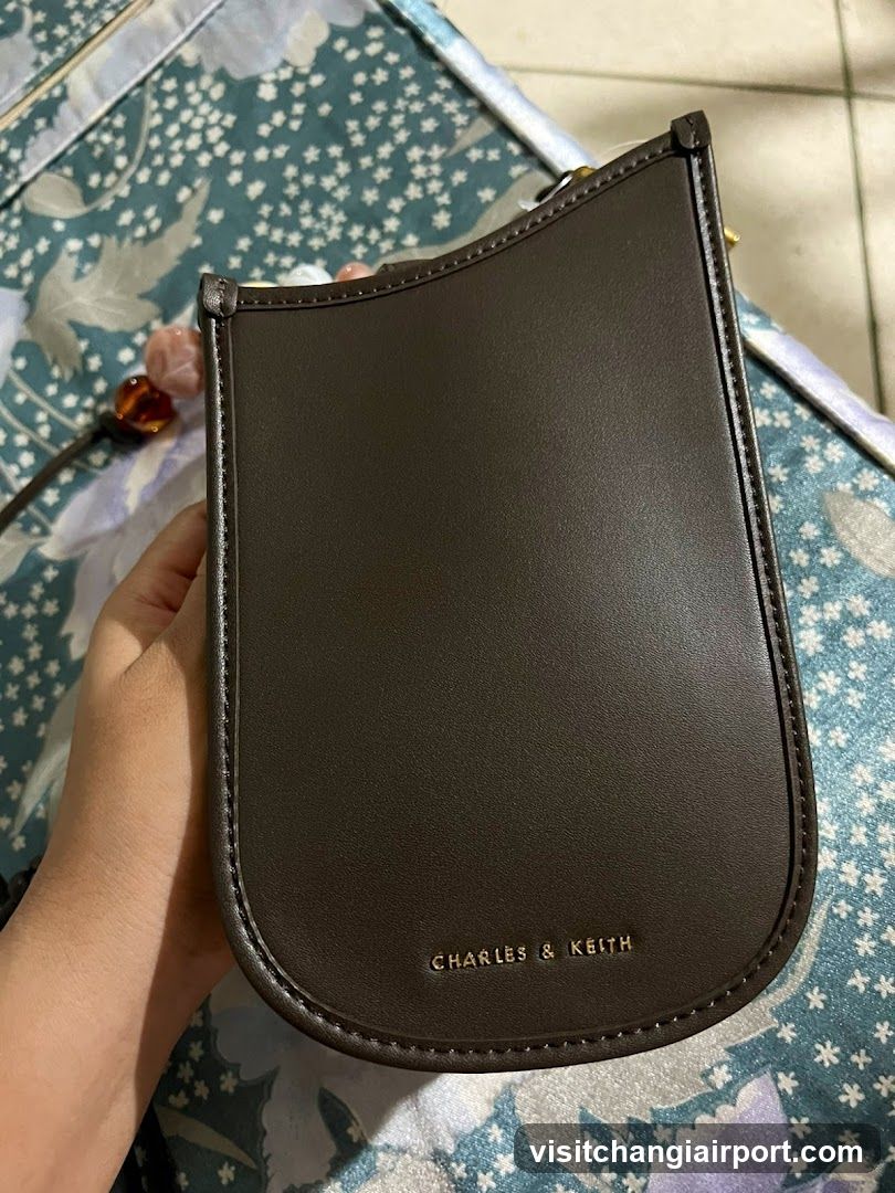 Charles & Keith Bag